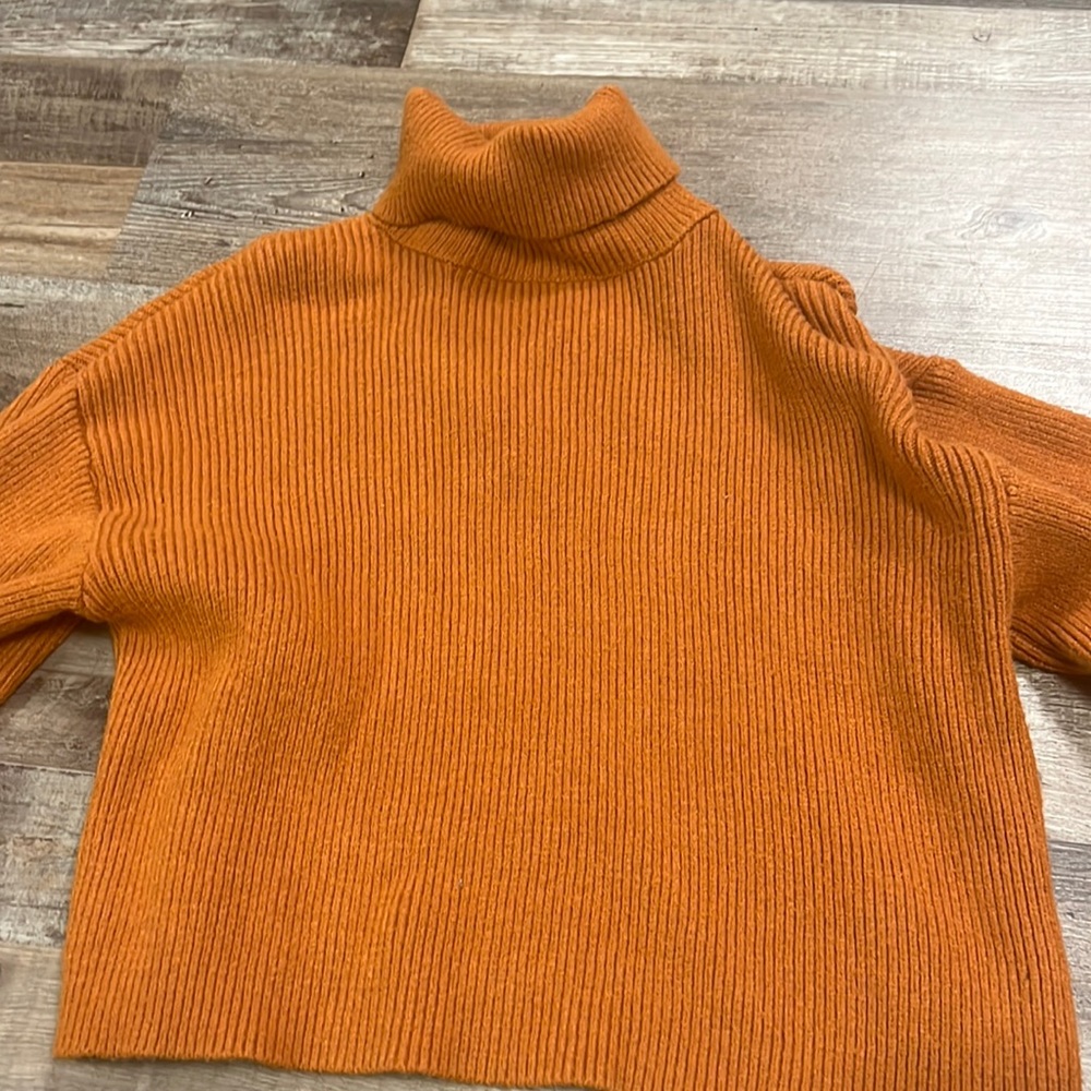 Francesca‘s orange Tuttle neck